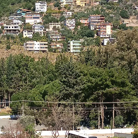 Ξενοδοχείο Livaneli Boutique Αλάνια